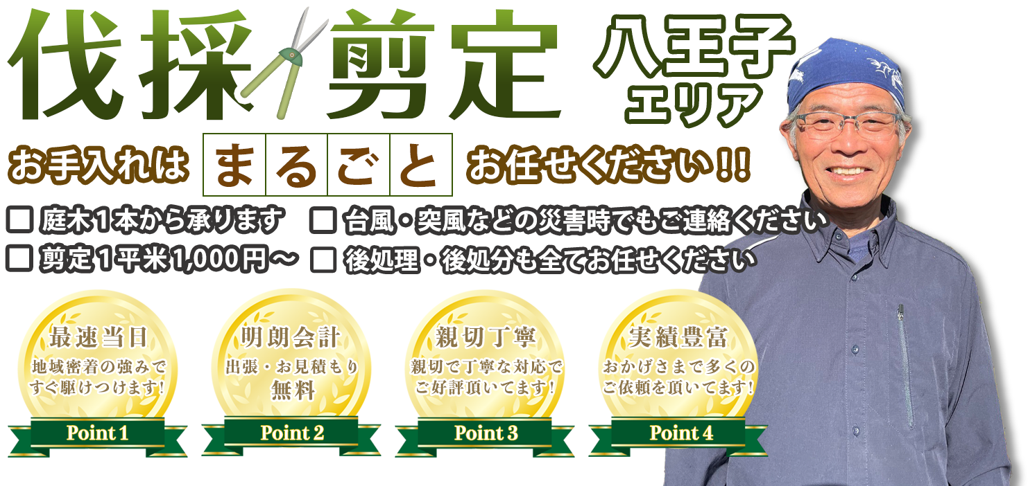 お庭のお手入れSTガーデニングへまるごとお任せ！低価格で親切丁寧！20年の実績が信頼の証