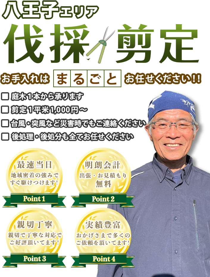 お庭のお手入れSTガーデニングへまるごとお任せ！低価格で親切丁寧！20年の実績が信頼の証